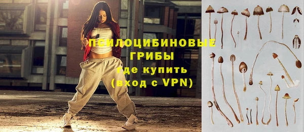 спайс Карпинск