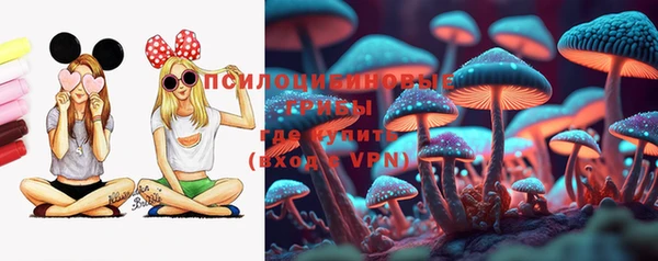 spice Касимов
