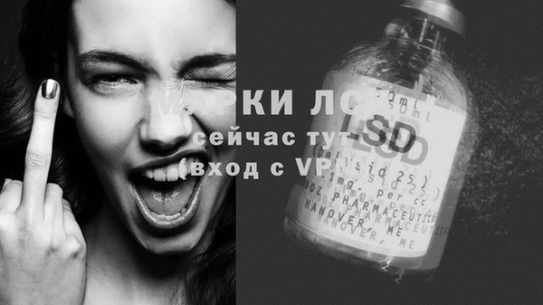 спайс Карпинск